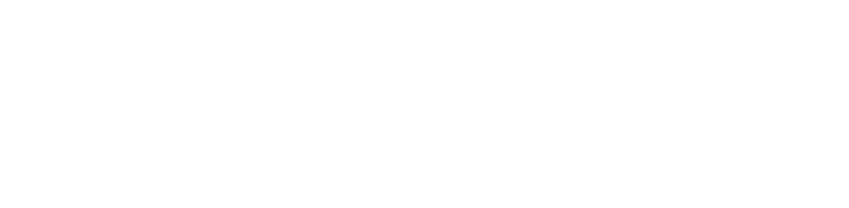 Palmera